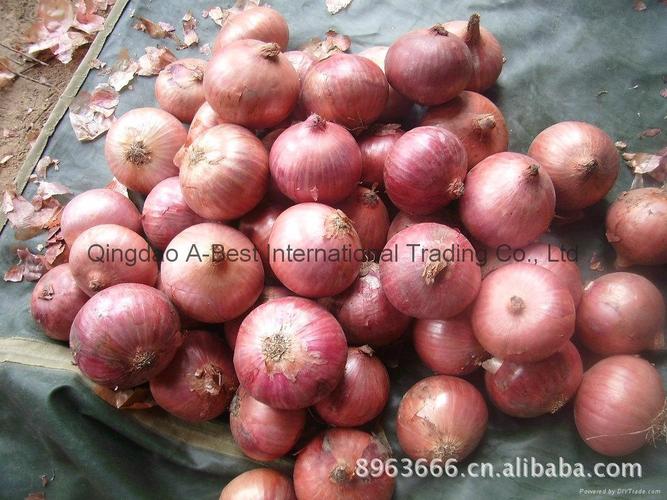 fresh red onion - ryjyc001 (中国 生产商) - 新鲜蔬菜 - 农产品及
